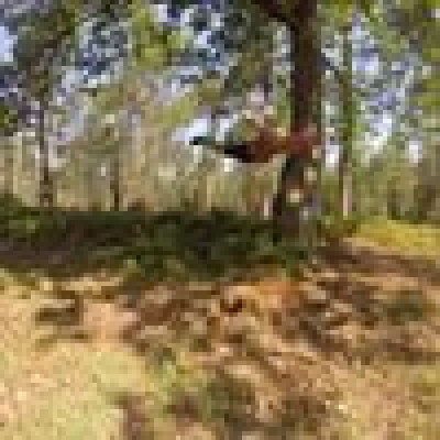 Michiel Kars is looking for ::/str_naun(Rental Property / Apartment / HouseBoat)::\ in Groningen
