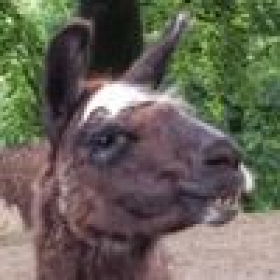 Jasper zoekt een Huurwoning / Kamer / Appartement / Studio / Woonboot in Groningen